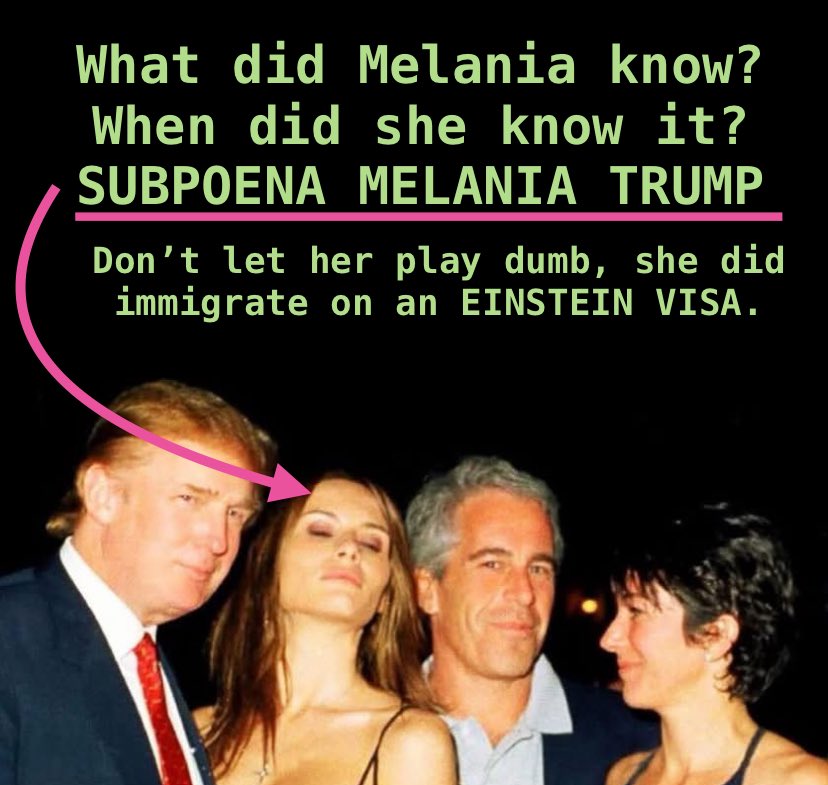 Michelle de los Santos FELLA tweet media