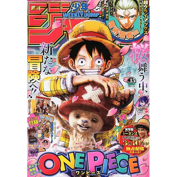 쌀토끼 tweet media