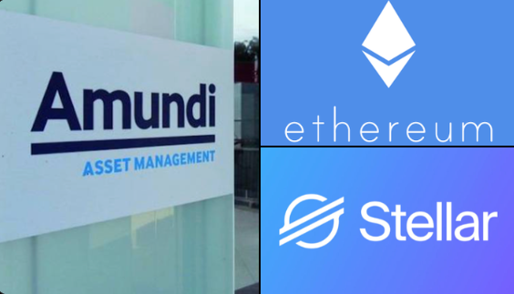 Whale Factor tweet media