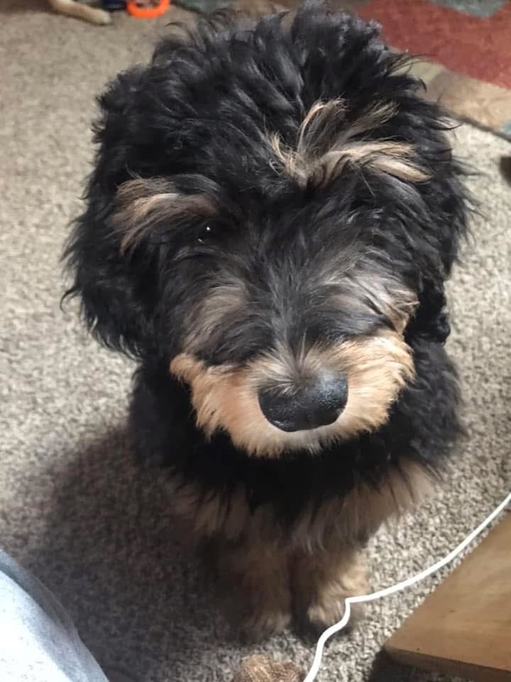 msbrats_corner tweet media