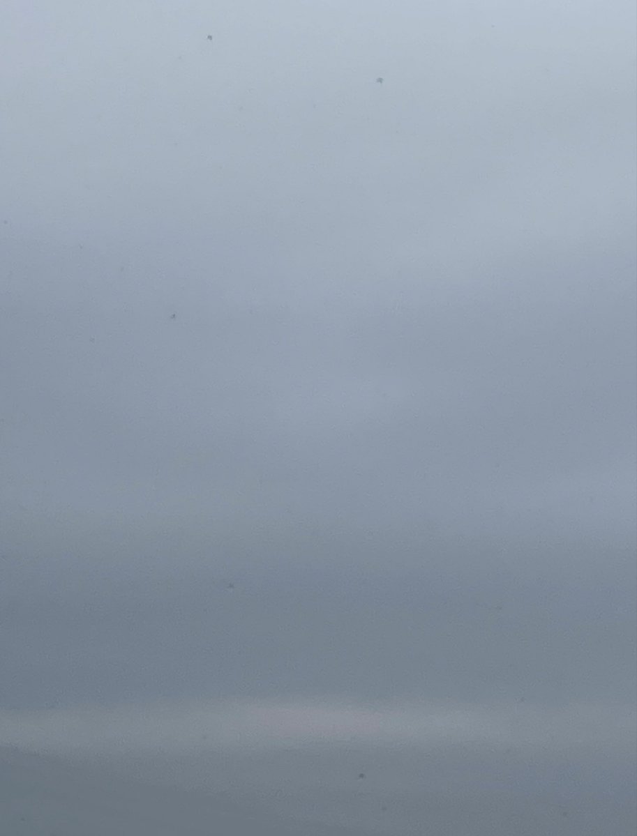 こだま和文 tweet media