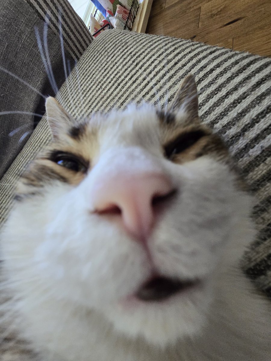 Kit&Pyro🇵🇭 tweet media