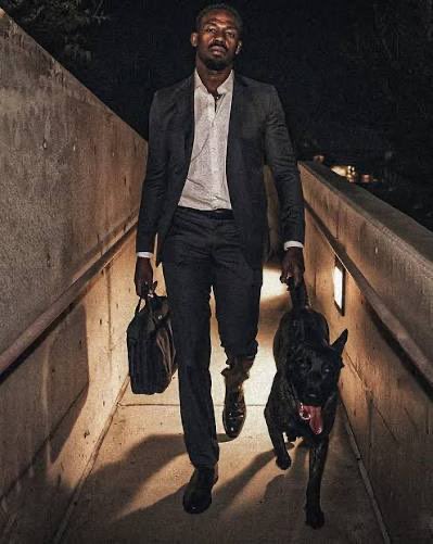 Pillow Hands Gaethje tweet media