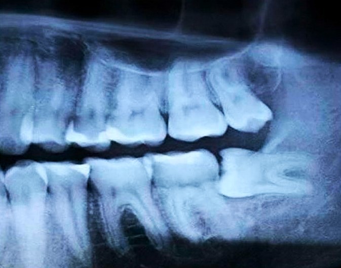 AmericaReal tweet media