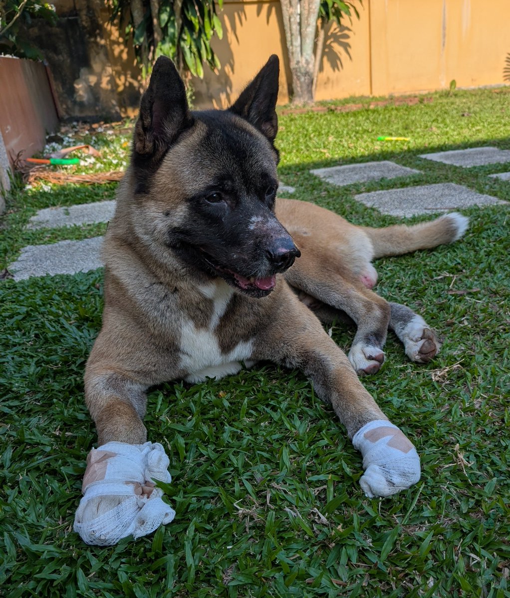 DanielUnchained.eth tweet media