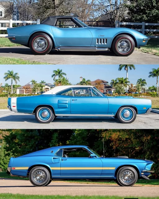 Connie 🇺🇸 tweet media