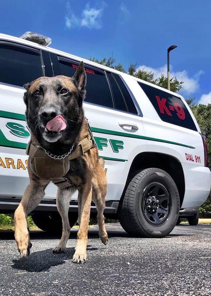 DK🇺🇸🦅🇺🇸 tweet media