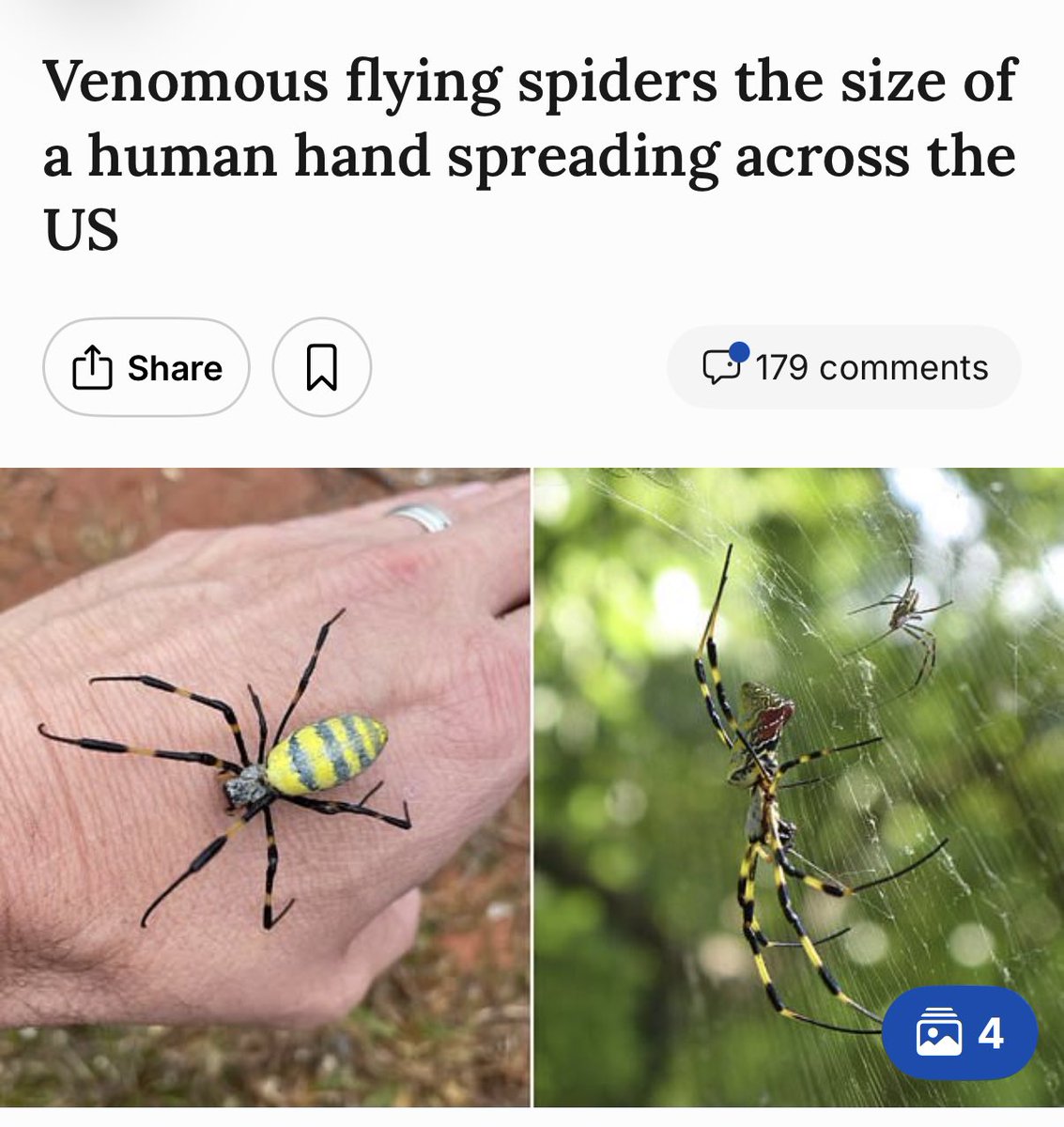 TheHouseoftheMuse tweet media