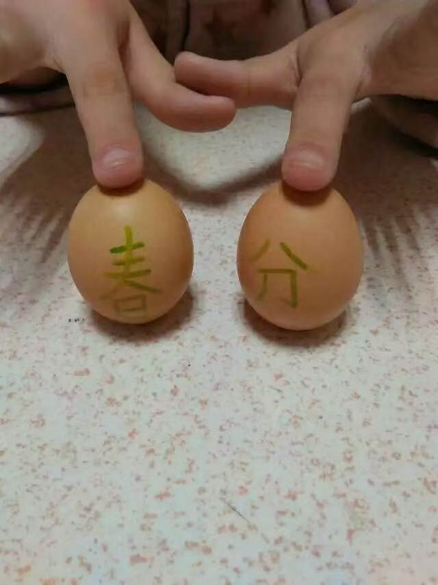 “春分到，蛋儿俏”，庆祝春天到来，象征万物复苏、生命勃发。“立住鸡蛋”寓意“立住福气、好运”，也有“添丁”“人丁兴旺”的美好愿望。
今天，你立蛋了吗？