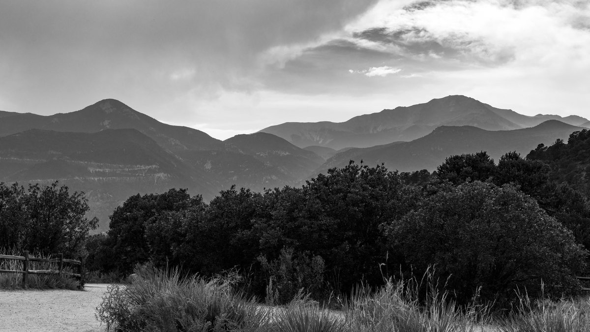 Man with a Mirrorless tweet media