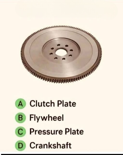 Connie 🇺🇸 tweet media