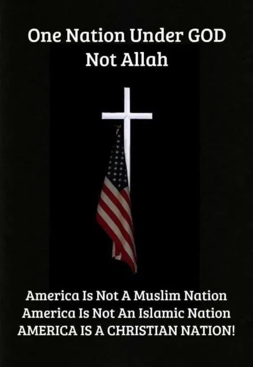 Scout 🇺🇸 tweet media