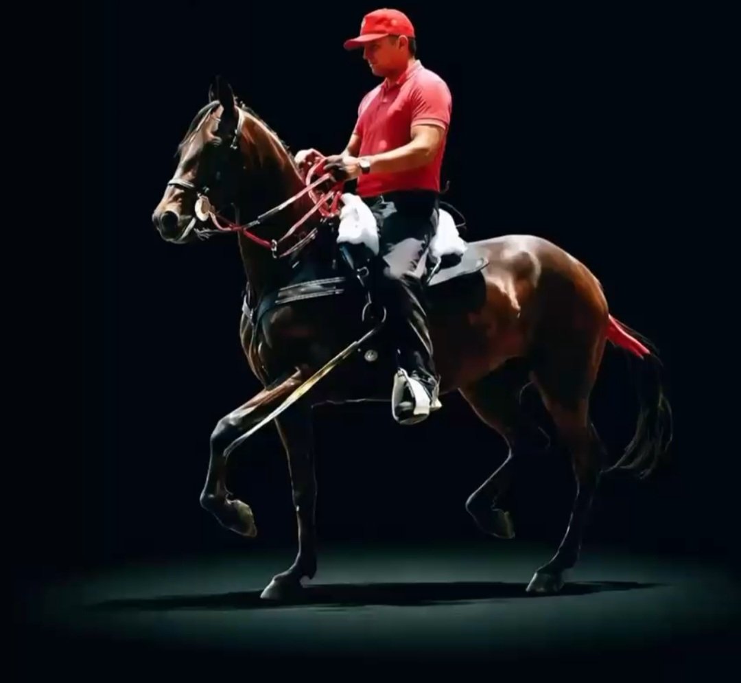 Alex Rodríguez C tweet media