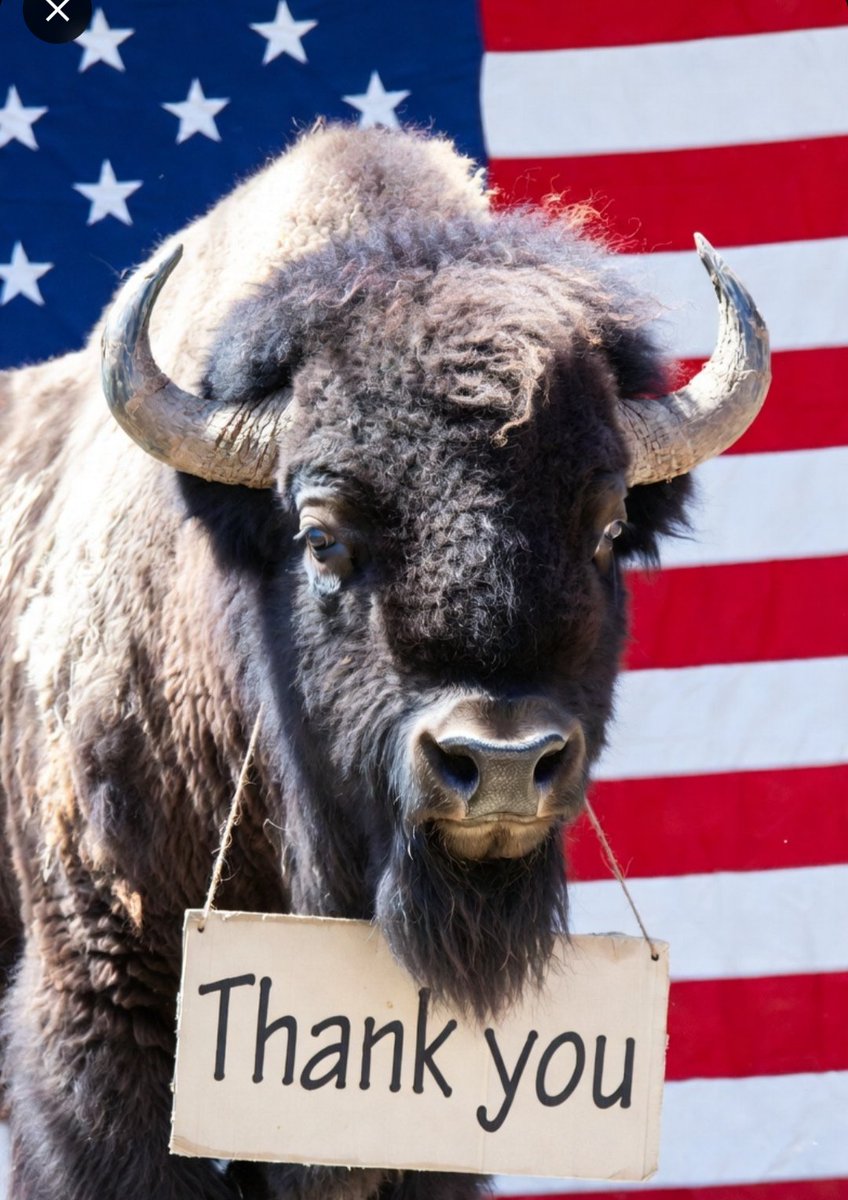 BuffaloRon tweet media