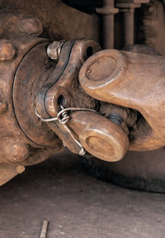 Connie 🇺🇸 tweet media