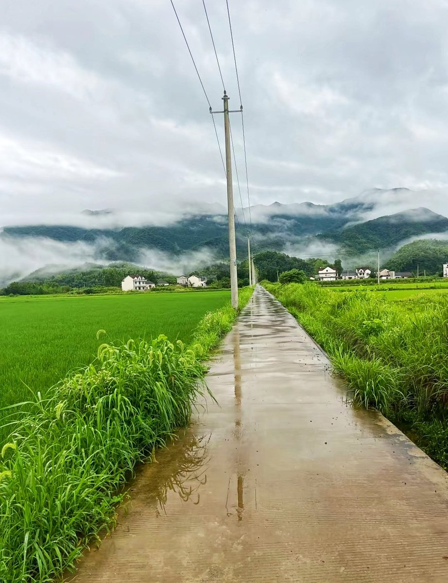 🇨🇳 大牛🇨🇳 tweet media