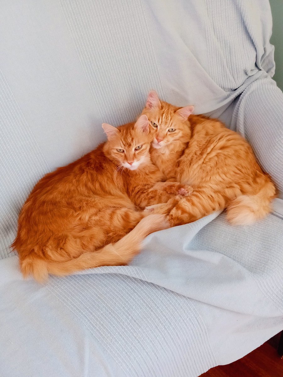 Blogging From Paradise tweet media