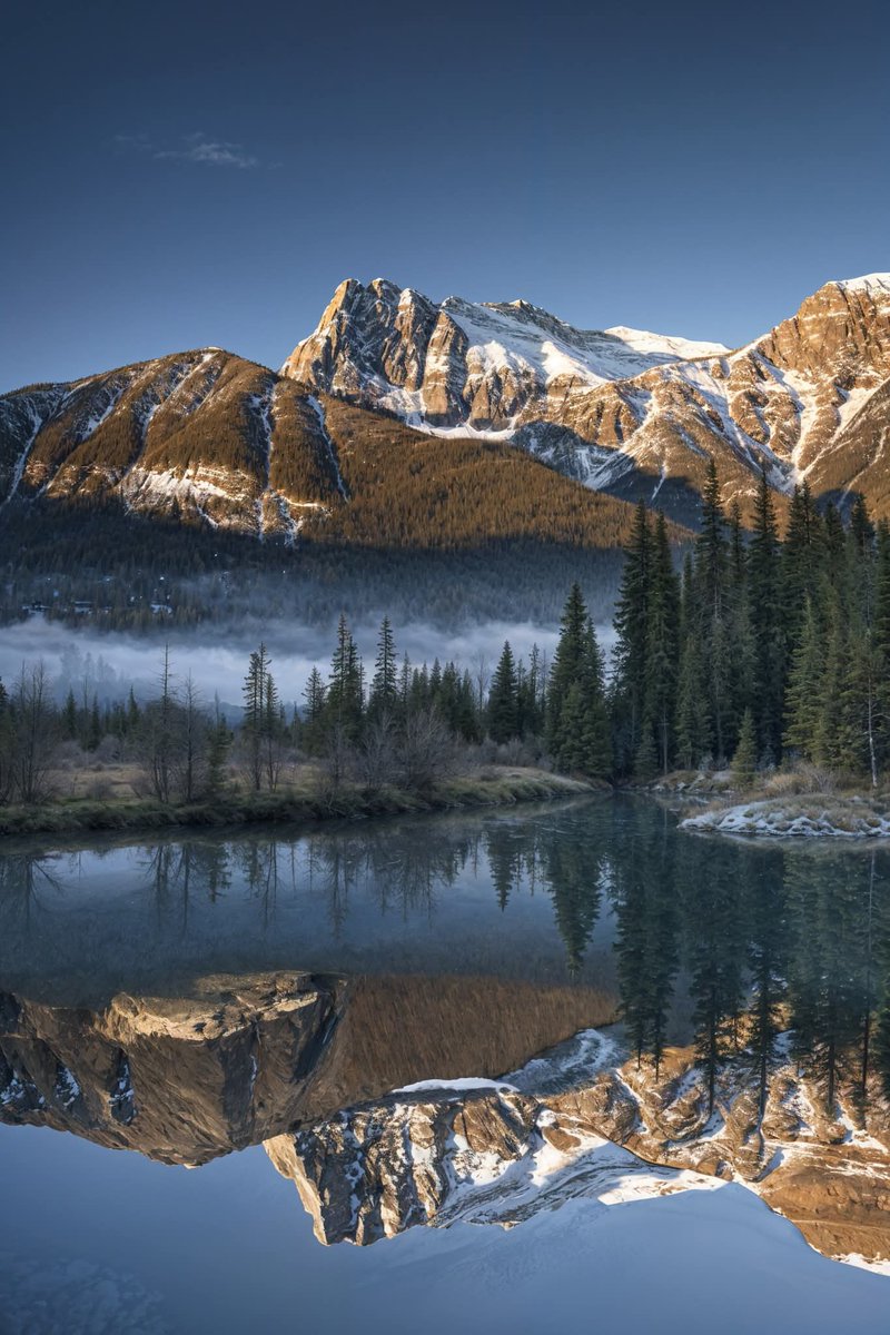 Purely Green tweet media