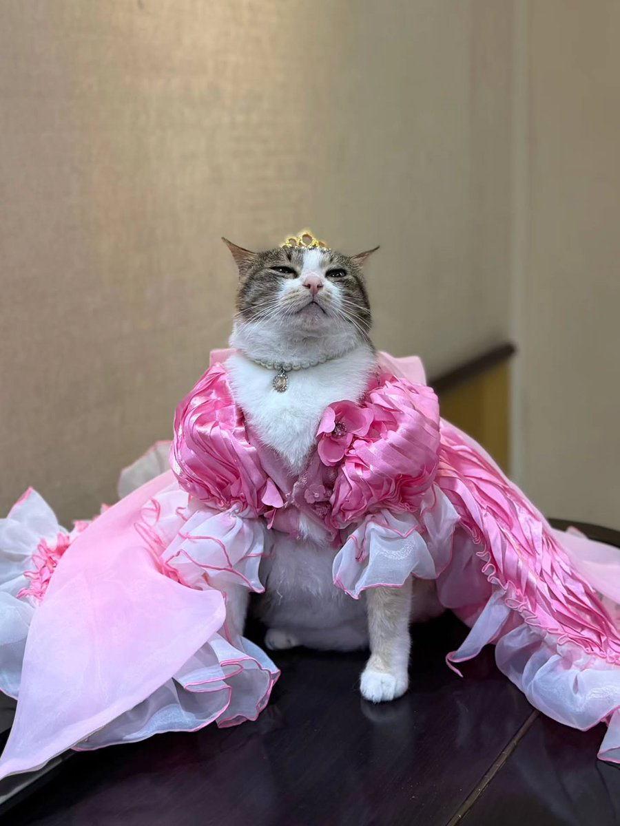 Purely Green tweet media