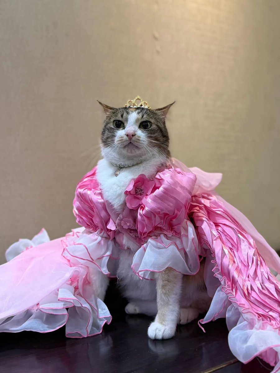 Purely Green tweet media