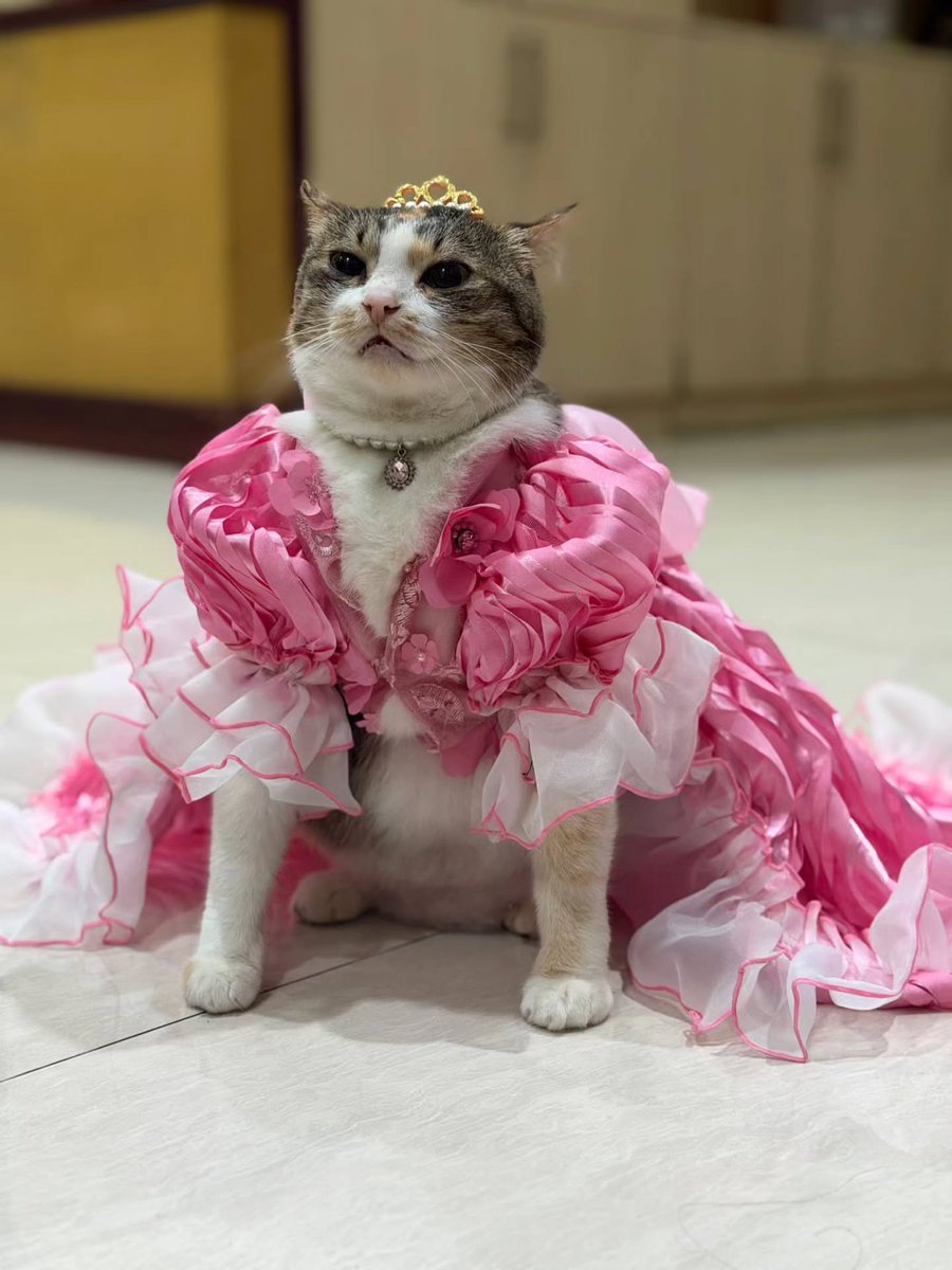 Purely Green tweet media