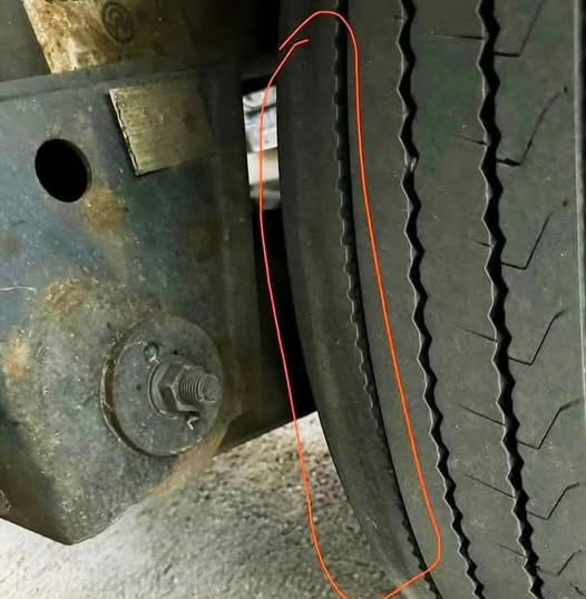 Connie 🇺🇸 tweet media