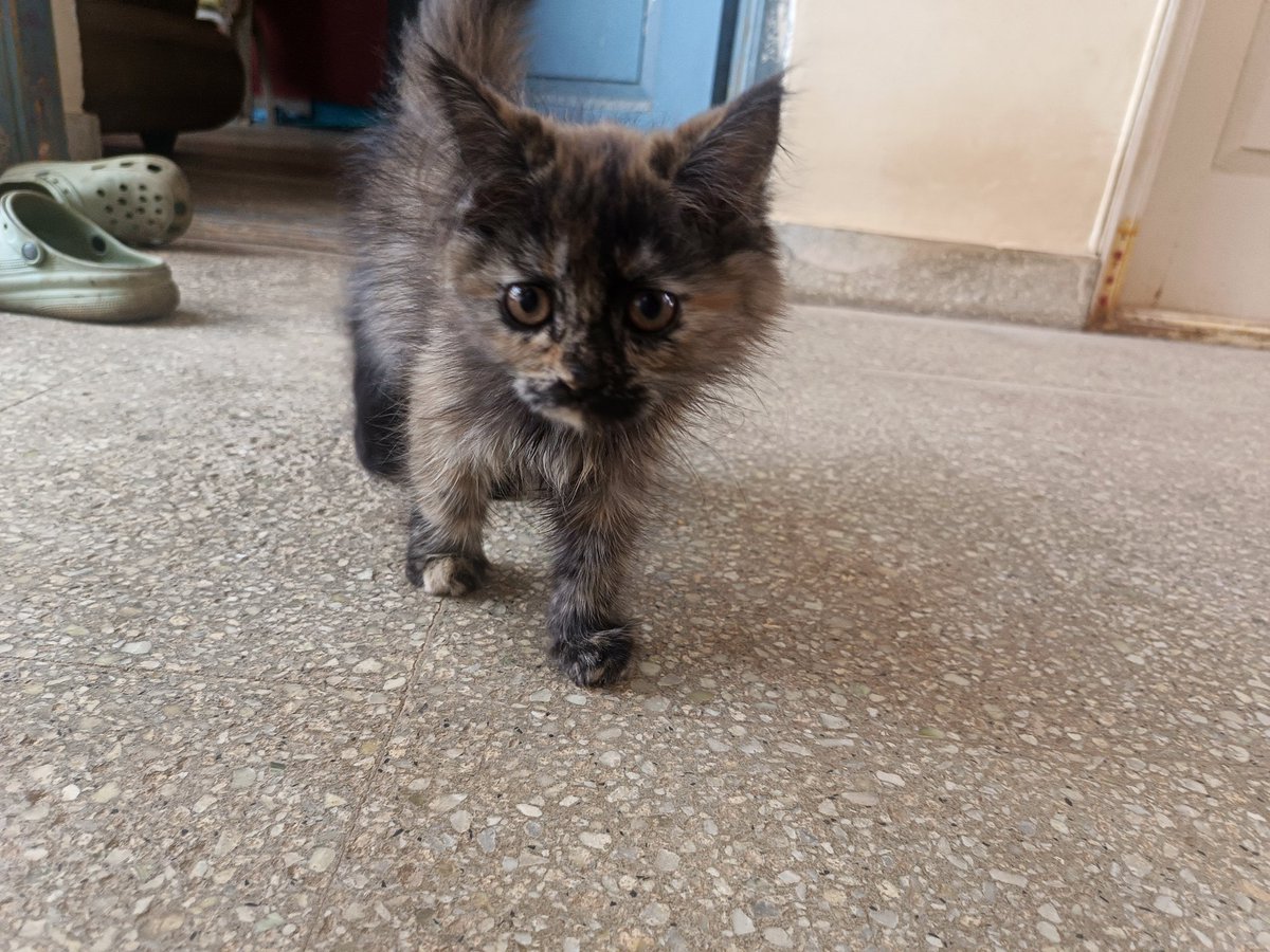 🏴‍☠️(serious arc) tweet media