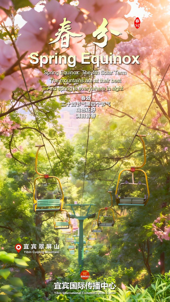 Amazing Yibin tweet media