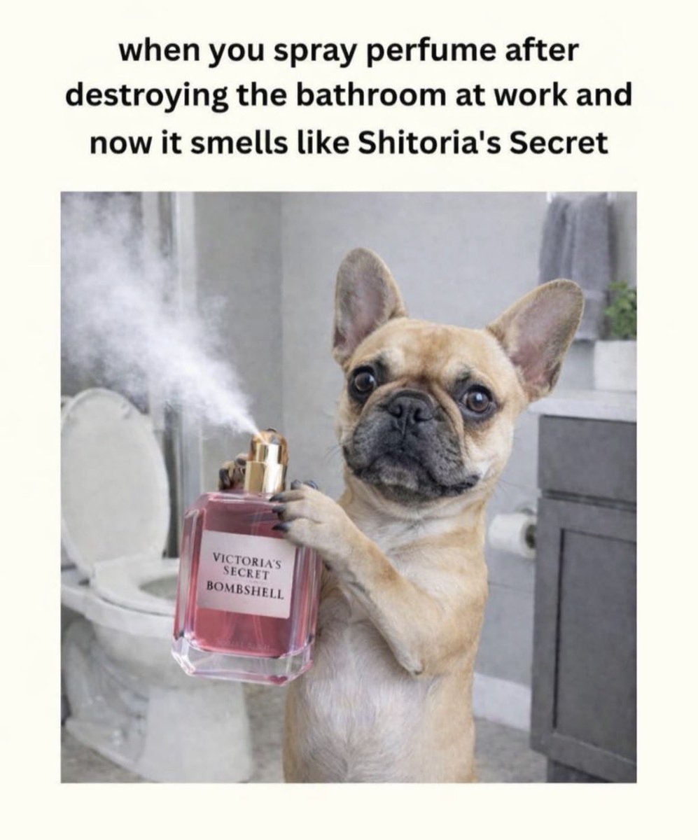 SweetDee tweet media