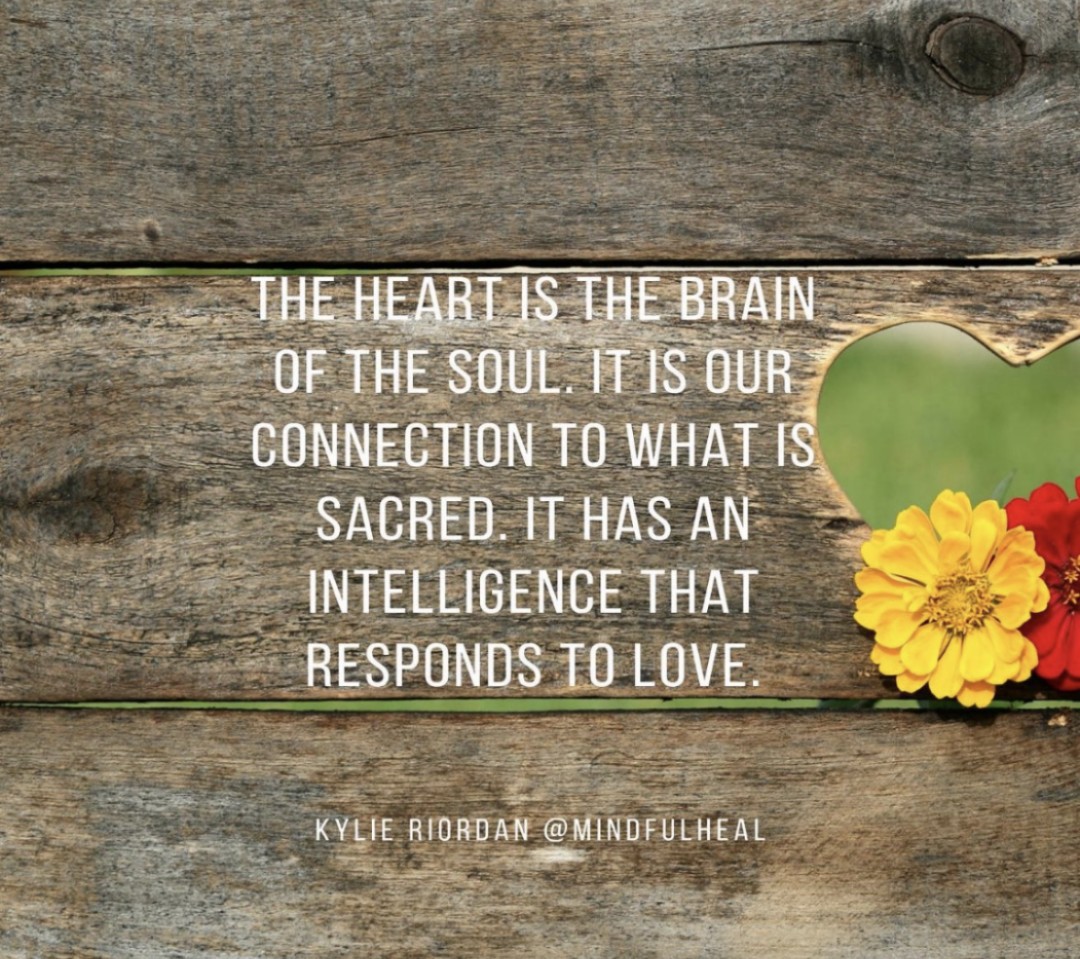 Manjit singh tweet media