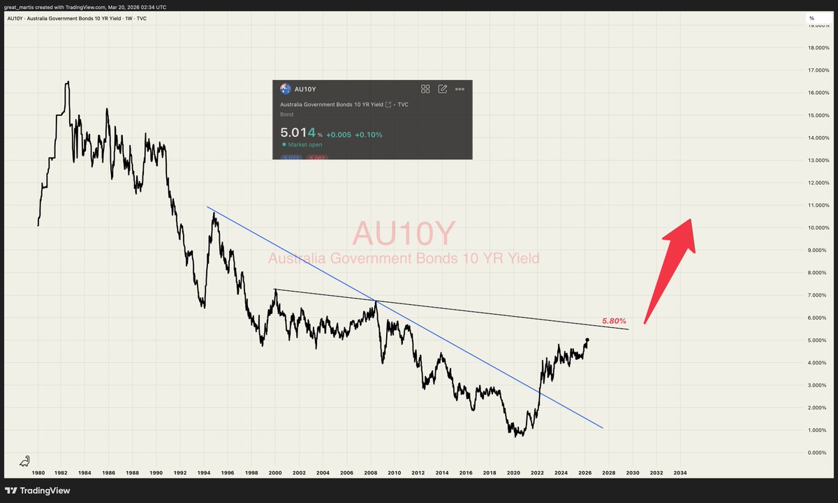 The Great Martis tweet media