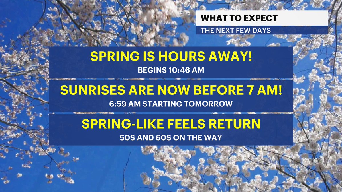 Skyler Day Harman tweet media