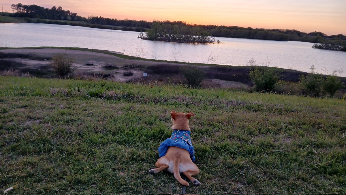 Chloe in Texas tweet media