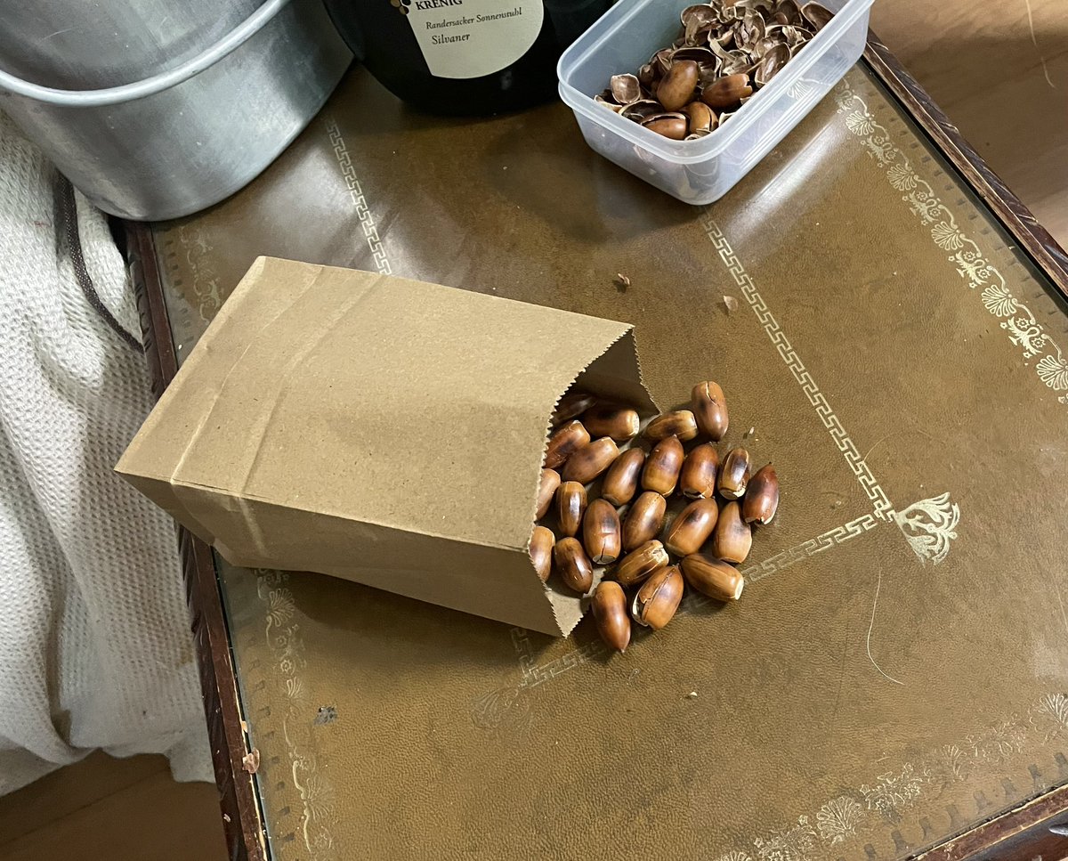 土と油 JQ3KXM tweet media