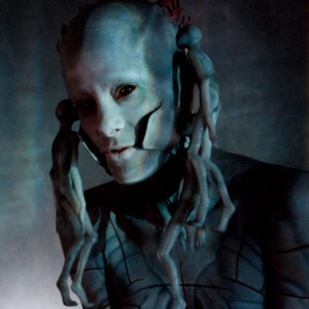 Calínico tweet media