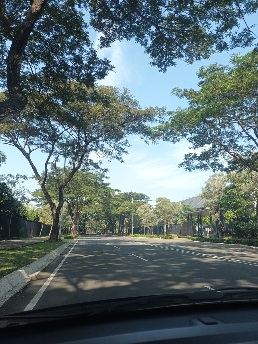 Summer3angle tweet media