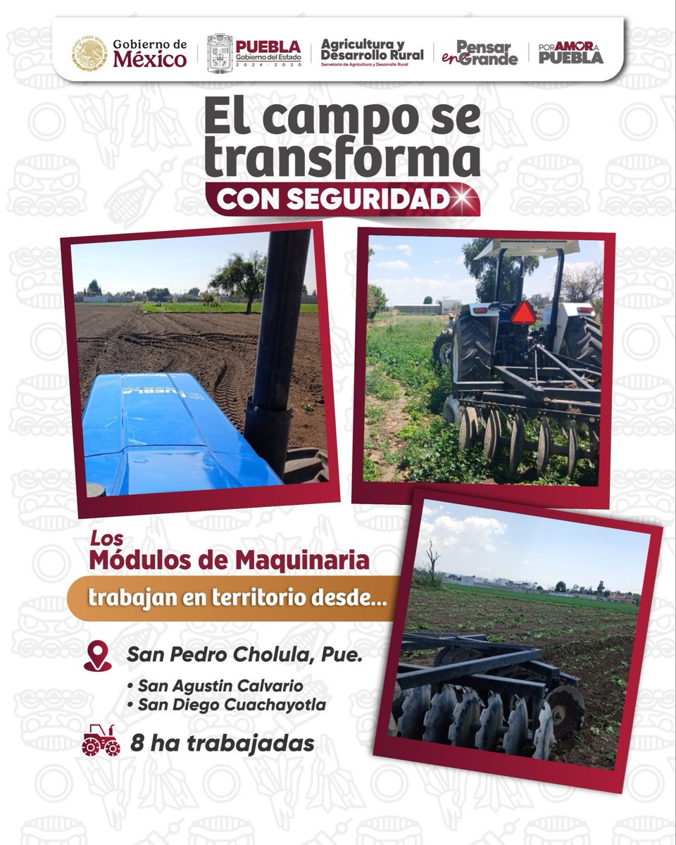 🚜🌱 El campo poblano se transforma con seguridad a través de los módulos de maquinaria en las 31 microrregiones, que benefician directamente a los productores.

Con estas acciones, iniciamos y preparamos las tierras para el ciclo productivo 2026.

#PorAmorAPuebla #PensarEnGrande