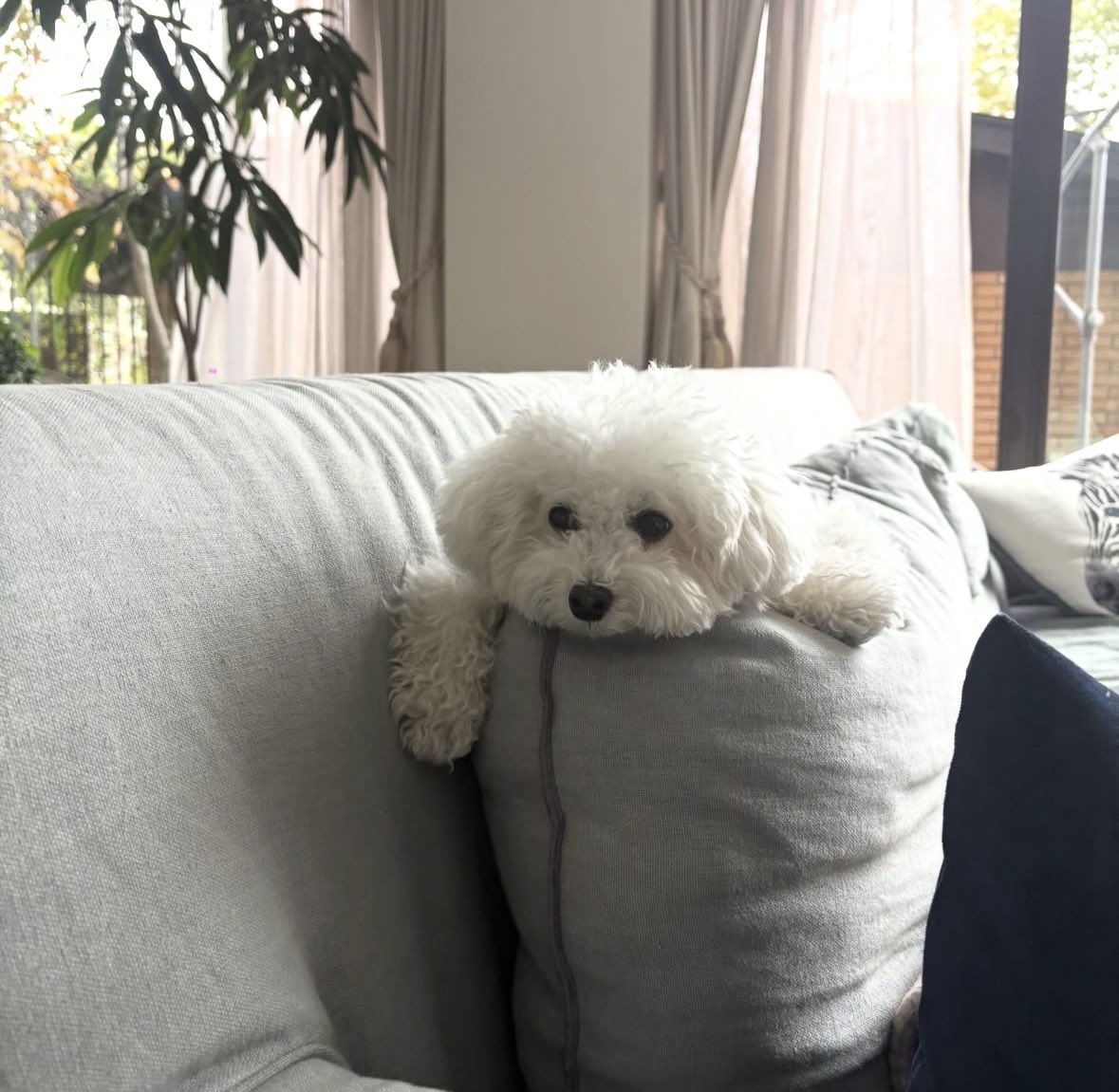 CryptoBaby🐰🥛 tweet media