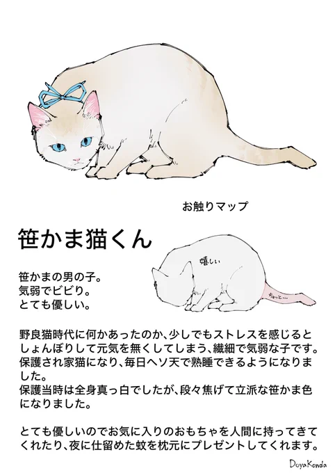 笹かま猫くんです 