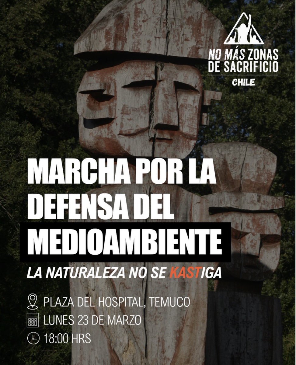 Indígnate_Chile tweet media