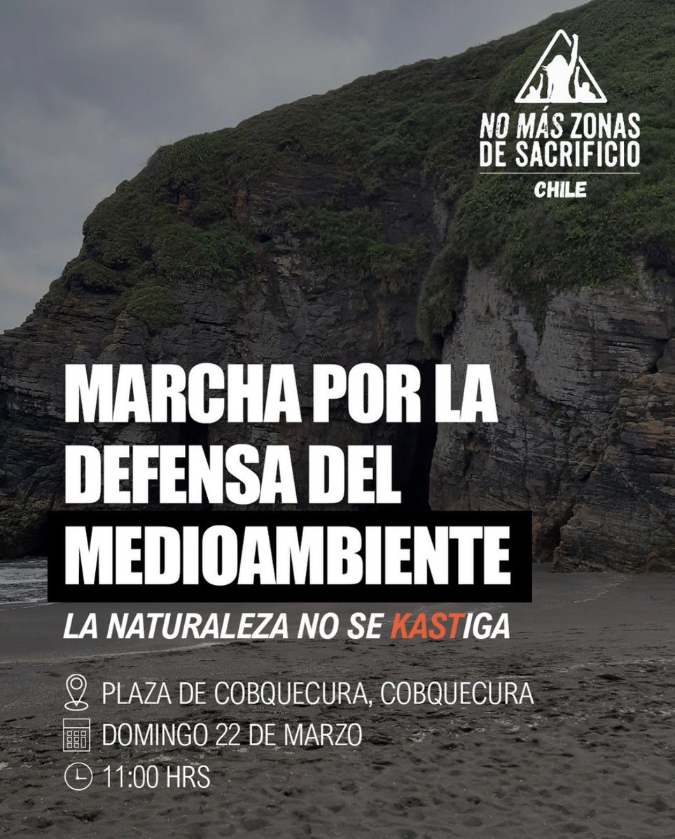 Indígnate_Chile tweet media