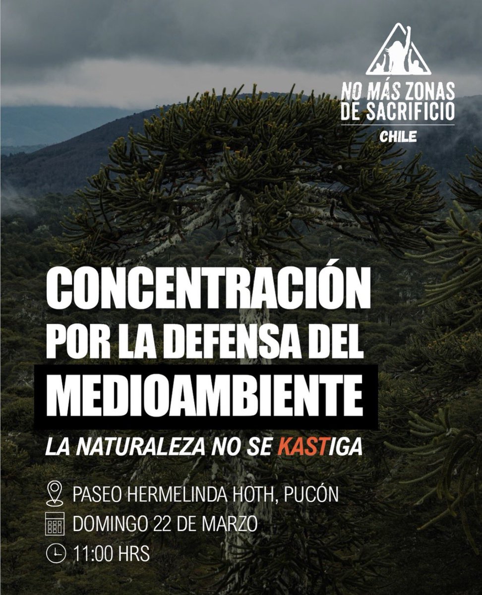 Indígnate_Chile tweet media