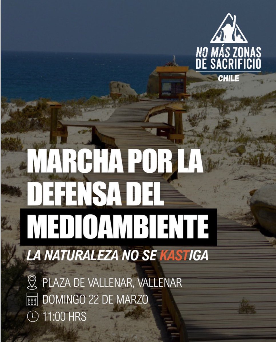 Indígnate_Chile tweet media