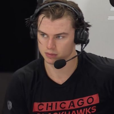 bedsys hair brush tweet media