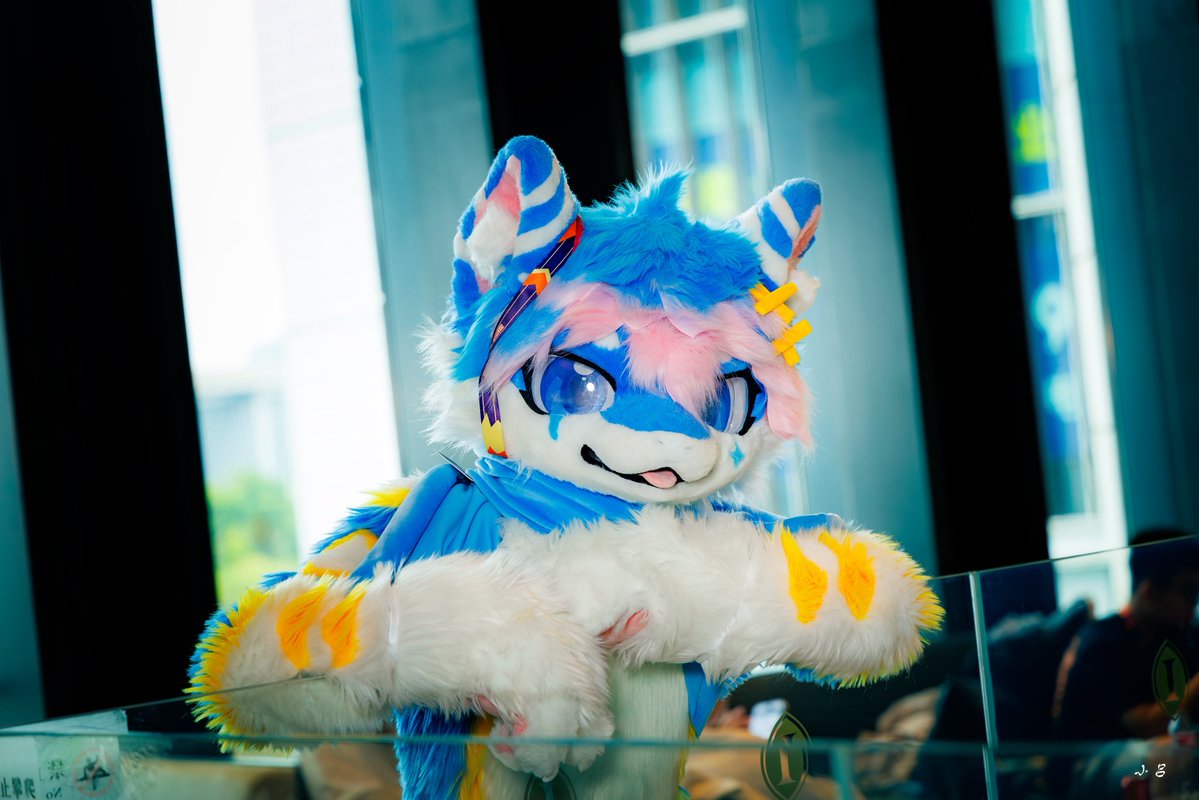 汐灵灵🔜HF tweet media