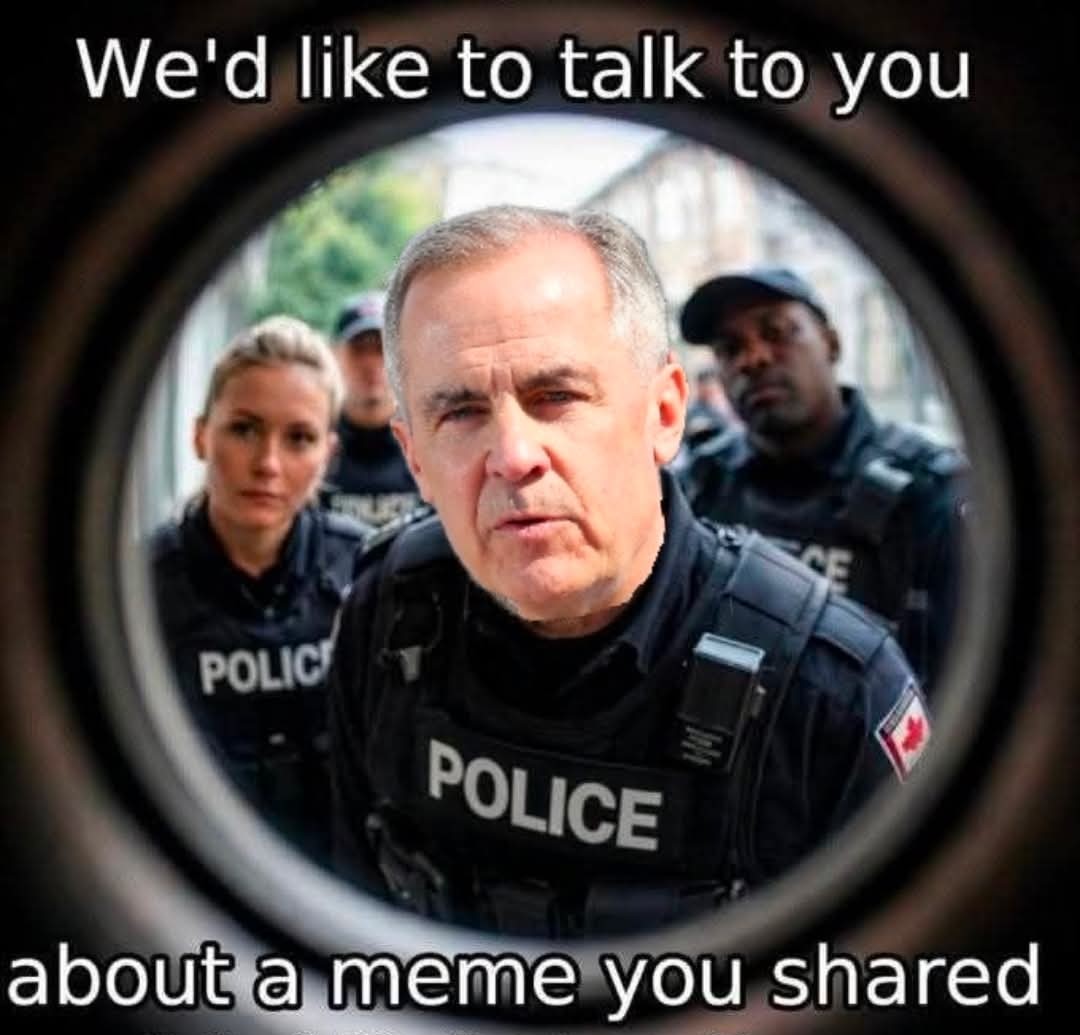 Chaos 🇺🇸🇨🇦 tweet media