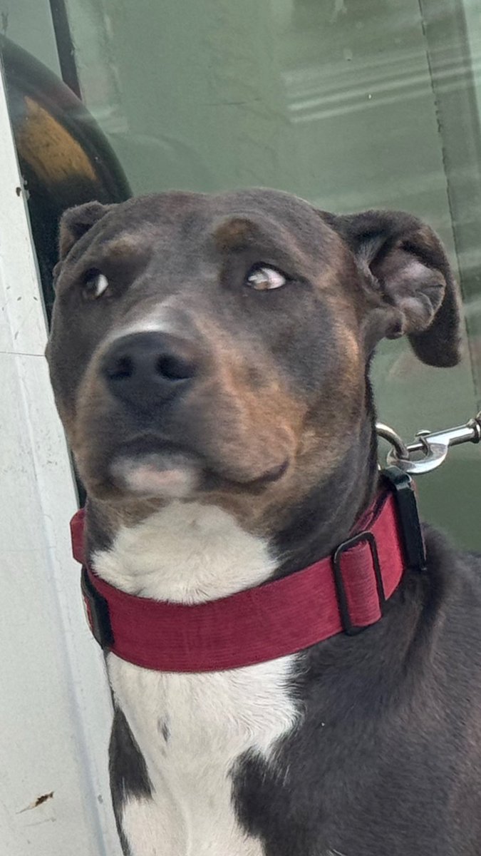 meredith 🍉 tweet media