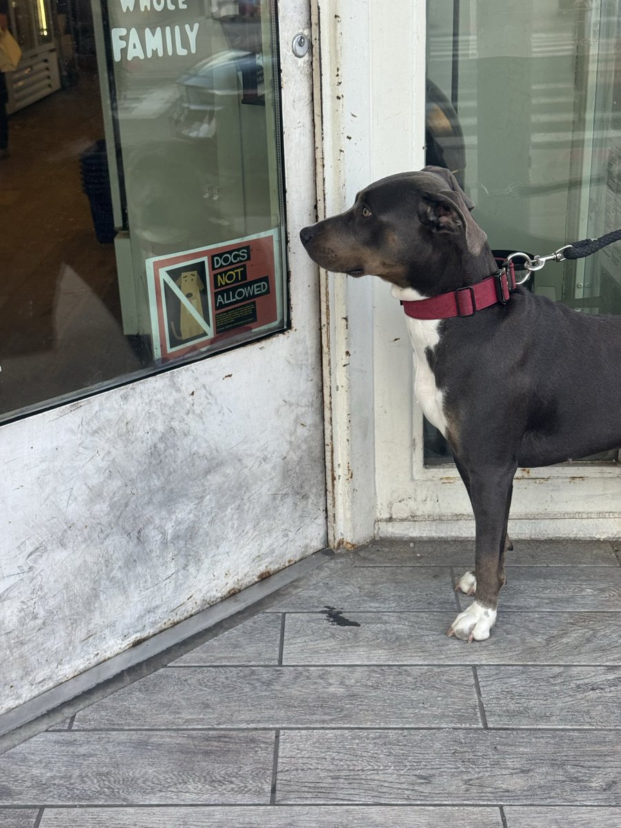 meredith 🍉 tweet media