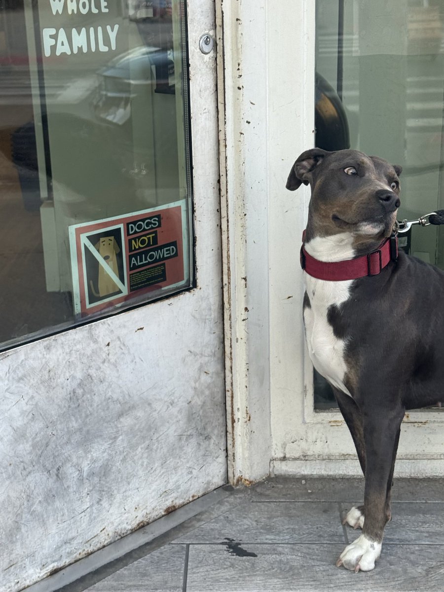 meredith 🍉 tweet media