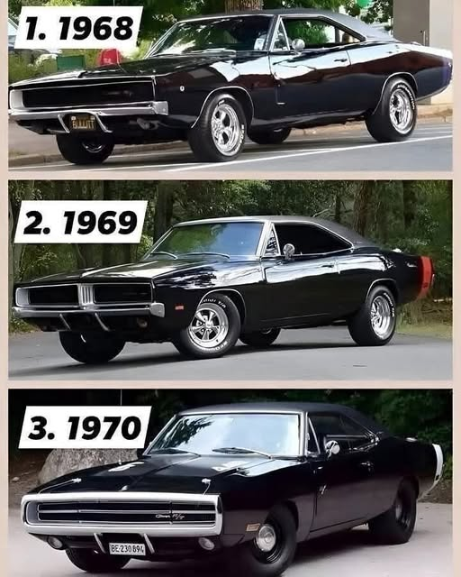 Connie 🇺🇸 tweet media